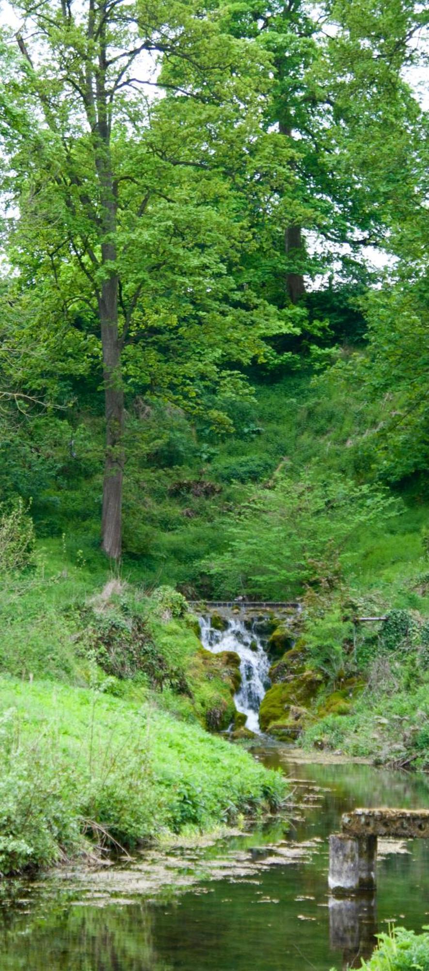 Oak Tree Cottage Stoke Rochford Esterno foto